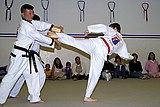 Questo lottatore di taekwondo esegue un calcio laterale su delle tavole di legno, spezzandole.