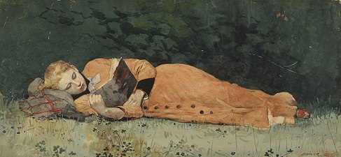 Нови роман, Винслоуа Хомера (1877)