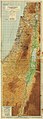 فلسطين 1946
