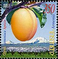 An Armenian stamp featuring the apricot.
