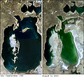 Arasjøen i 1989 (venstre) og 2003 (høyre).