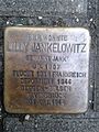 12. Lilly Jankelowitz
