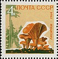 Nõvvokogoliido postmark (1964)