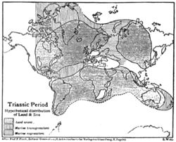 Triassic Period Hypothetical distribution of Land & Sea