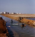 Пристанище Судан: Рафинерията