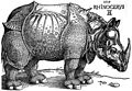 丢勒的犀牛，1515年