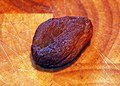 Dried organic apricot, produced in Turkey. The colour is dark because it has not been treated with sulfur dioxide