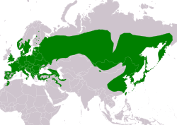 Mapa de la distribución geográfica de la especie