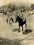 Капітан Прейде на коні,Великий Полюхів 1914-1918