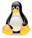 Tux, Linux'un maskotu