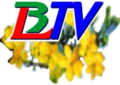 Logo Tết BLTV Bạc Liêu tháng 2/2018