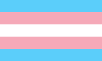 Transgenderlərin bayrağı