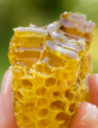 Il miele della valle dell'Anapo