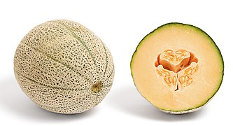 File:Canteloupe and cross section.jpg (2009-11-21)
