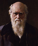 El debate suscitado por las obras de Darwin puso de manifiesto la incongruencia de datos y teorías científicas con la interpretación literal de la Biblia.