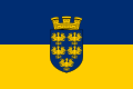 Blue-yellow with coat of arms of Lower Austria. Flag of the state of Lower Austria.