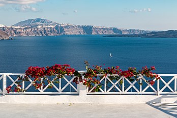 Grade com flores em Oia, Santorini, Grécia. (definição 5 289 × 3 526)