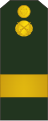 Sergent-major (Moldovan Ground Forces)[30]