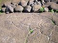 Petroglifă în formă de pește de la Ahu Tongariki