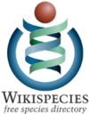 Tekući logotip Wikispeciesa