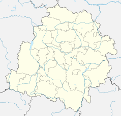 Mapa konturowa województwa łódzkiego, blisko centrum na lewo znajduje się punkt z opisem „Borszewice”