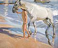 El baño del caballo es un óleo realizado en 1909 por el pintor español Joaquín Sorolla. Sus dimensiones son de 205 × 250 cm. Se expone en el Museo Sorolla, Madrid. Por Joaquín Sorolla.