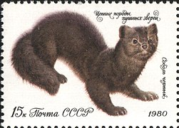 Почтовая марка СССР, 1980 год. Соболь чёрный