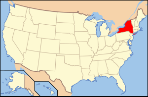 Zemljevid Združenih držav z označeno državo New York