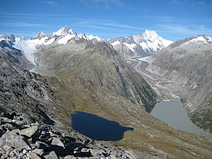 Oberaar- (links) und Unteraargletscher (rechts), im Vordergrund dunkelblau der Trübtensee