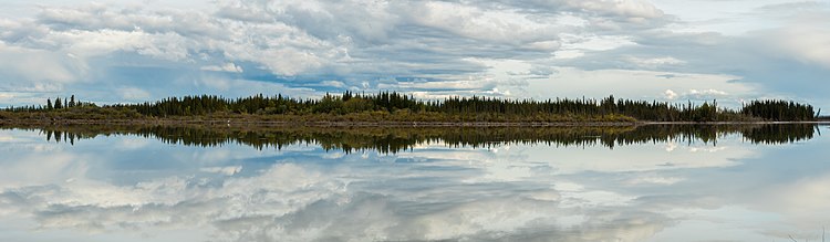 Отражение деревьев в воде озера. Национальный резерват дикой природы Тетлин, Аляска