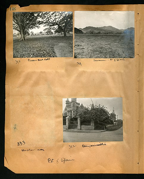 File:Chase album, 1898, 1903, and undated (Page 146) BHL46399581.jpg