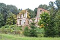 Ruine des Schlosses Nißmenau in Włostów
