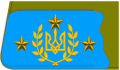 Відзнака ступені Генерал-полковника, встановлена наказом ГУ ВУНР ч. 140 від 16 червня 1920 р.