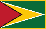 Presidential Standard of Guyana (1999–2011) under President Bharrat Jagdeo.