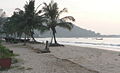 palmy kokosowe na plaży w Karwar