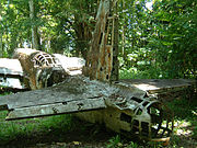 resten Ki-49 in Nieuw-Guinea (2002)