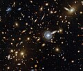 A menagerie of galaxies — the galaxy cluster ACO S 295