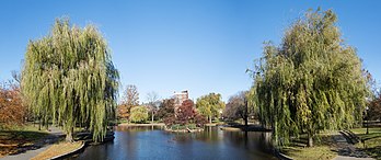 Vista do Public Garden (Jardim público), um grande parque no coração de Boston, Massachusetts, Estados Unidos (definição 11 107 × 4 666)
