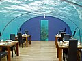 Image 35Ithaa, the first undersea restaurant at the Conrad Maldives Rangali Island resort (from Hotel)