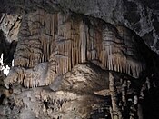 A formation of stalagmites deep underground in Postojna Cave