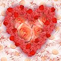 Für den „Admin der Herzen“ Liebe Grüße