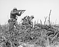 A Marine of the 1st Marine Division draws a bead on a Japanese sniper with his tommy-gun as his companion ducks for cover. The division is working to take Wana Ridge before the town of Shuri
