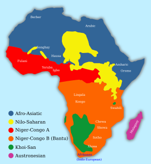 아프리카 대륙의 언어 분포