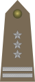 Lenkija pułkownik