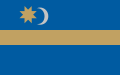 Флаг венгров-секеев