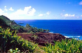 St. Paul's Point na zahodu Pitcairnovega otoka