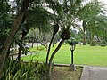 Intramuros Gardens