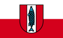 Kaiserslautern – Bandiera