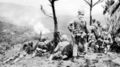 Pushing to Yae-Take, infantrymen of the 6th Marine Division pause on a mountain top while artillery shells a Japanese position.