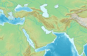 پلوزیوم در غرب و مرکز آسیا واقع شده